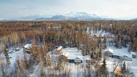 9901 E Ortner Loop, Palmer, AK 99645 photo 1
