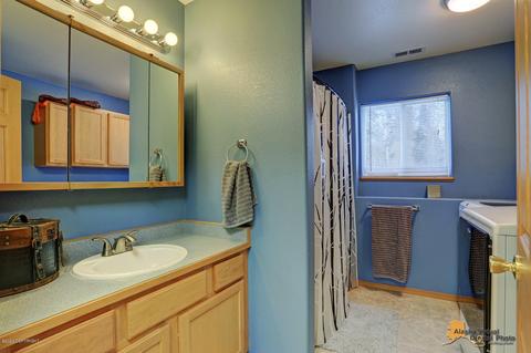 9901 E Ortner Loop, Palmer, AK 99645 photo 19