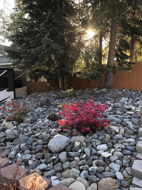 10908 Suneagle Cir, Eagle River, AK 99577 photo 38