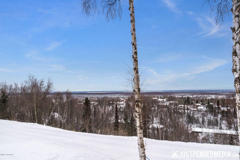 12137 Dee Ln, Eagle River, AK 99577 photo 4