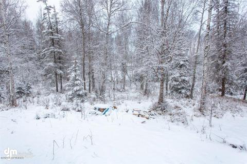2000 E Caribou Loop, Wasilla, AK 99654 photo 27