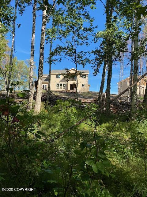 3060 S Barn Gable Loop, Wasilla, AK 99654 photo 61
