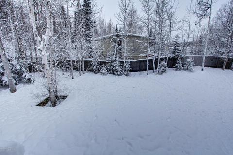 10736 High Bluff Dr, Eagle River, AK 99577 photo 58