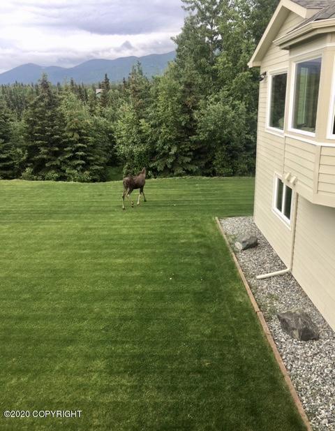 6551 Limestone Cir, Anchorage, AK 99507 photo 7