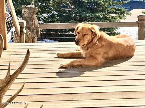 6551 Limestone Cir, Anchorage, AK 99507 photo 80