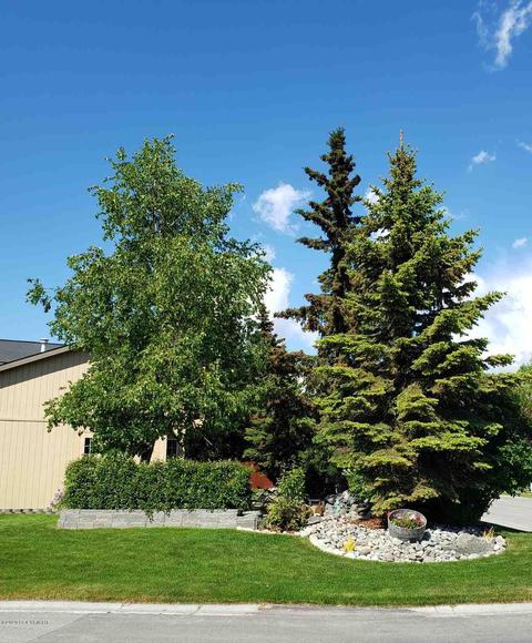 11951 Devonshire Cir, Anchorage, AK 99516 photo 29