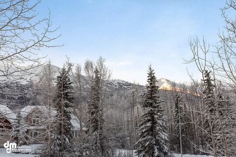 25629 Bendilent Cir, Eagle River, AK 99577 photo 39