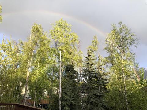 10988 Splendor Loop, Eagle River, AK 99577 photo 45