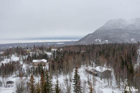 18433 Mountain Rd, Chugiak, AK 99567 photo 37
