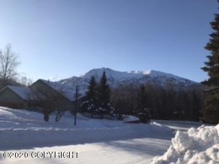 9738 E Chichagof Loop, Eagle River, AK 99577 photo 26