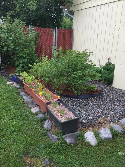 1500 Wolverine St, Anchorage, AK 99504 photo 49