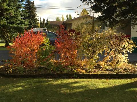 1500 Wolverine St, Anchorage, AK 99504 photo 38
