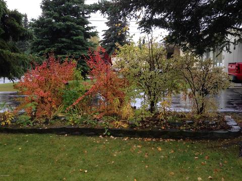 1500 Wolverine St, Anchorage, AK 99504 photo 36