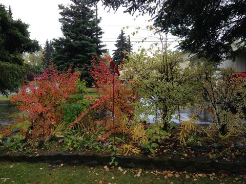 1500 Wolverine St, Anchorage, AK 99504 photo 35