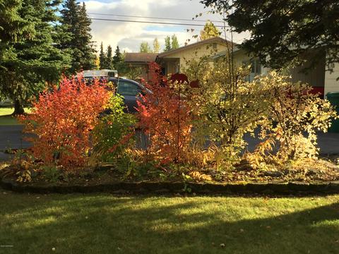 1500 Wolverine St, Anchorage, AK 99504 photo 37