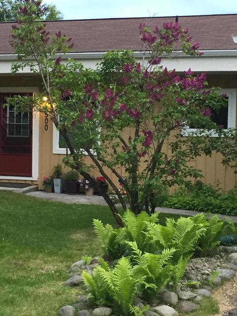 1500 Wolverine St, Anchorage, AK 99504 photo 40