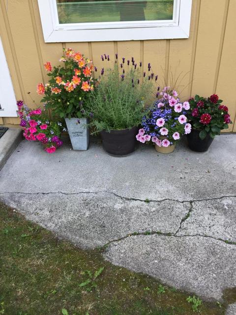 1500 Wolverine St, Anchorage, AK 99504 photo 43
