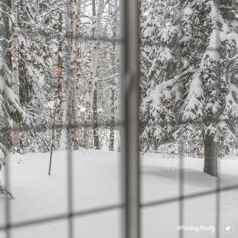20446 Eagle River Rd, Eagle River, AK 99577 photo 23
