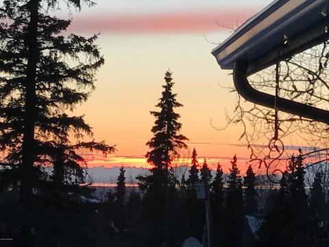 15330 Pollock Dr, Anchorage, AK 99516 photo 59