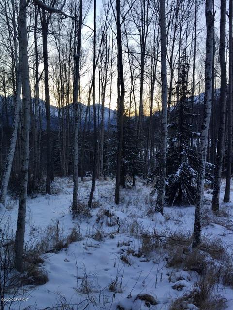 20585 Pine Crest Ln, Eagle River, AK 99577 photo 21