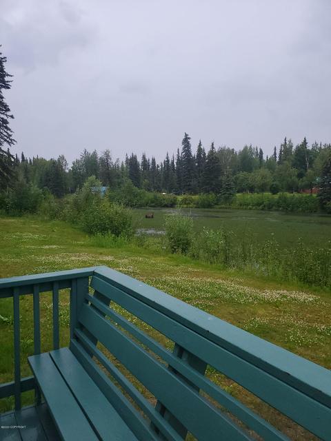 2081 Loose Moose Loop, North Pole, AK 99705 photo 25