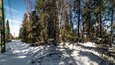 4601 E 115th Ave, Anchorage, AK 99516 photo 25