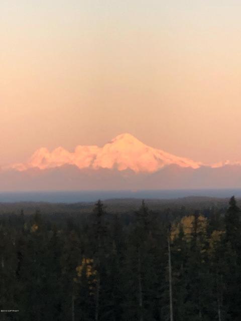 67206 Endless View Loop, Homer, AK 99603 photo 20
