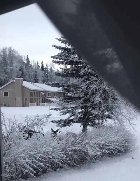 19729 Samalga Cir, Eagle River, AK 99577 photo 10