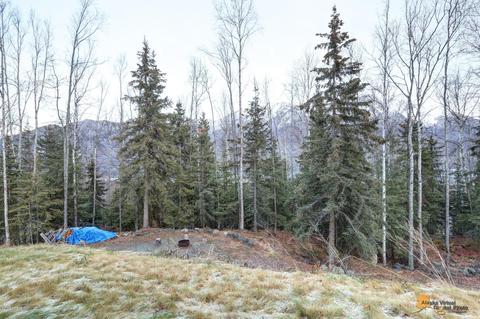 21615 Falling Water Cir, Eagle River, AK 99577 photo 33