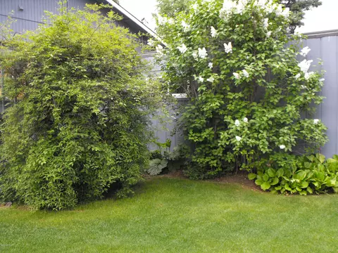 6710 E 10th Ave, Anchorage, AK 99504 photo 32
