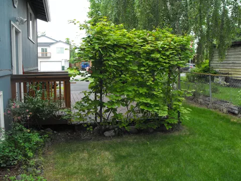 6710 E 10th Ave, Anchorage, AK 99504 photo 37