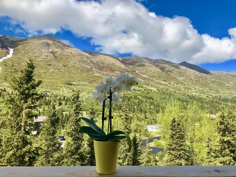 2110 S River Dr, Eagle River, AK 99577 photo 74