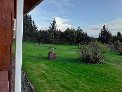 29395 Alta Loop, Anchor Point, AK 99556 photo 88