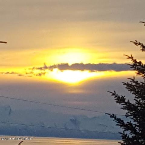 29395 Alta Loop, Anchor Point, AK 99556 photo 92