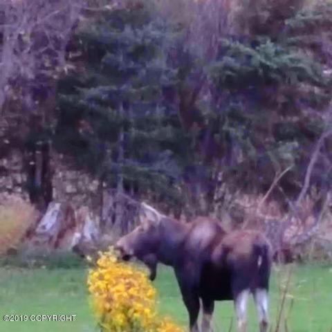 29395 Alta Loop, Anchor Point, AK 99556 photo 87