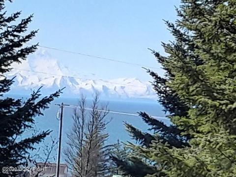 29395 Alta Loop, Anchor Point, AK 99556 photo 8