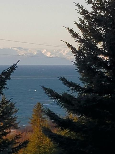 29395 Alta Loop, Anchor Point, AK 99556 photo 14