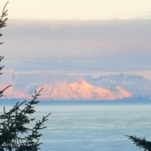 29395 Alta Loop, Anchor Point, AK 99556 photo 28