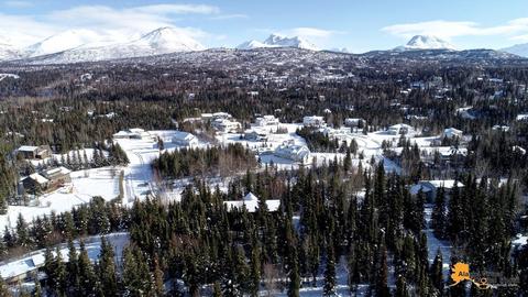 9400 Main Tree Dr, Anchorage, AK 99507 photo 21
