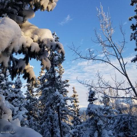 9400 Main Tree Dr, Anchorage, AK 99507 photo 23