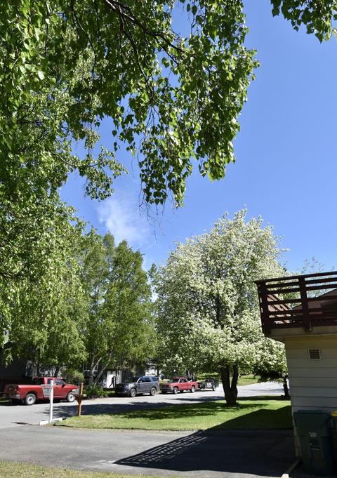 4121 Coventry Dr, Anchorage, AK 99507 photo 28