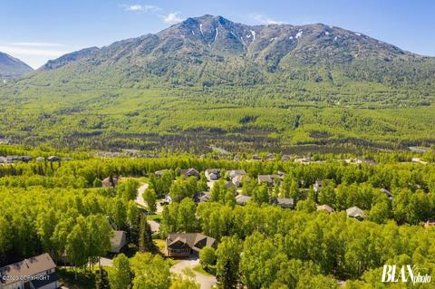 19706 Samalga Cir, Eagle River, AK 99577 photo 48