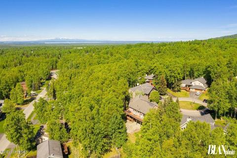 19706 Samalga Cir, Eagle River, AK 99577 photo 44