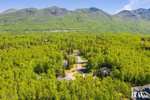 19706 Samalga Cir, Eagle River, AK 99577 photo 46