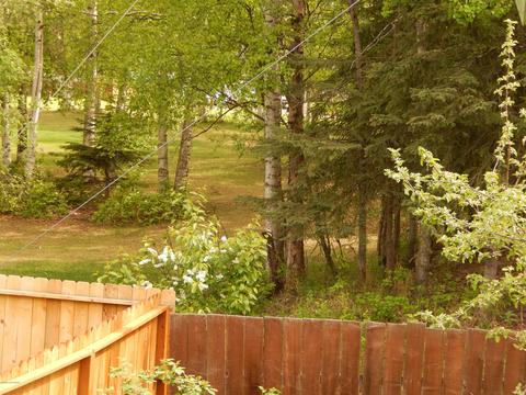1706 Cara Loop, Anchorage, AK 99516 photo 21