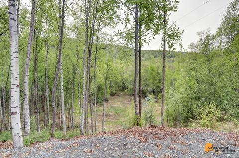 20435 Stephen Cir, Chugiak, AK 99567 photo 7