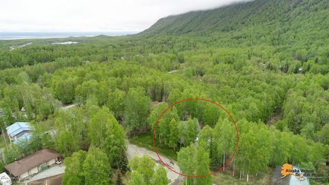 20435 Stephen Cir, Chugiak, AK 99567 photo 4