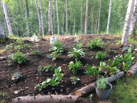 20435 Stephen Cir, Chugiak, AK 99567 photo 47