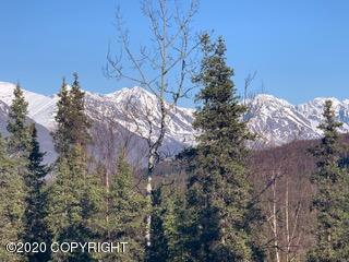 19048 Mountain Point Cir, Eagle River, AK 99577 photo 4
