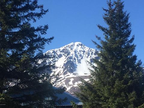 11610 Eagle Ln, Seward, AK 99664 photo 2
